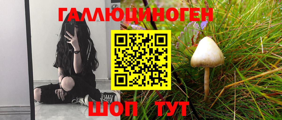 Галлюциногенные грибы GOLDEN TEACHER Ростов Великий