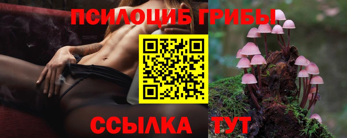 Псилоцибиновые грибы прущие грибы  Вход с VPN  Ростов Великий 